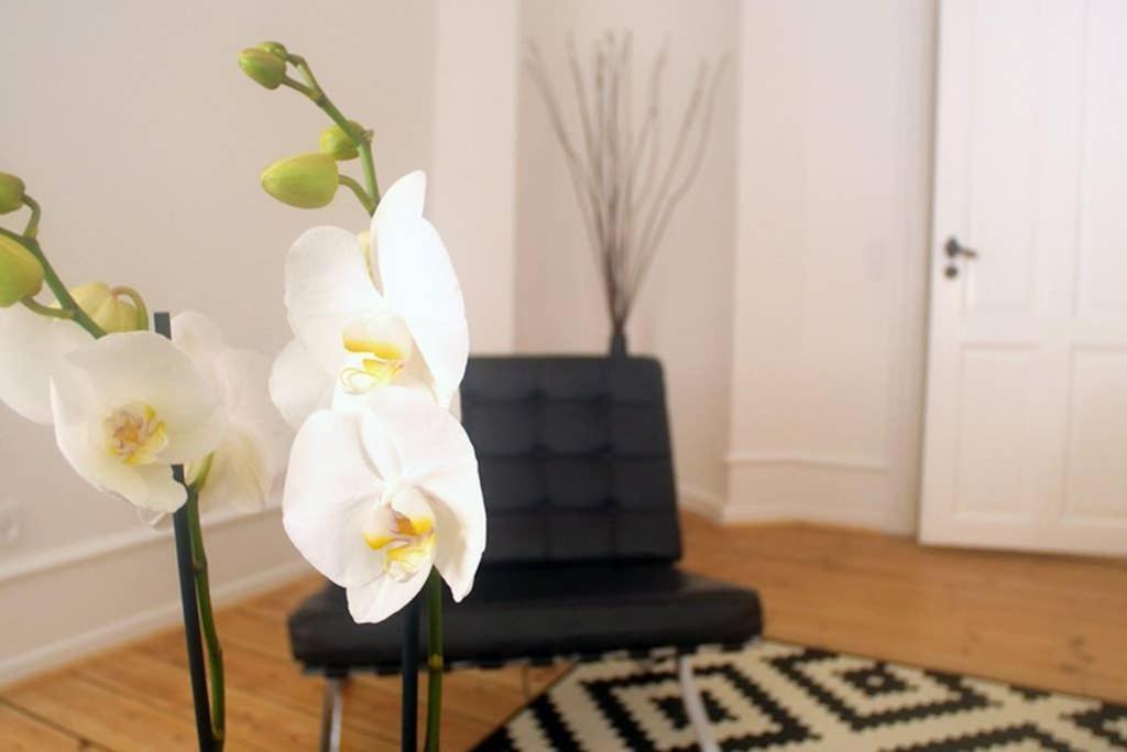 Next To New Harbor / 3 Bedroom & 2 Bath Rooms Copenhague Extérieur photo